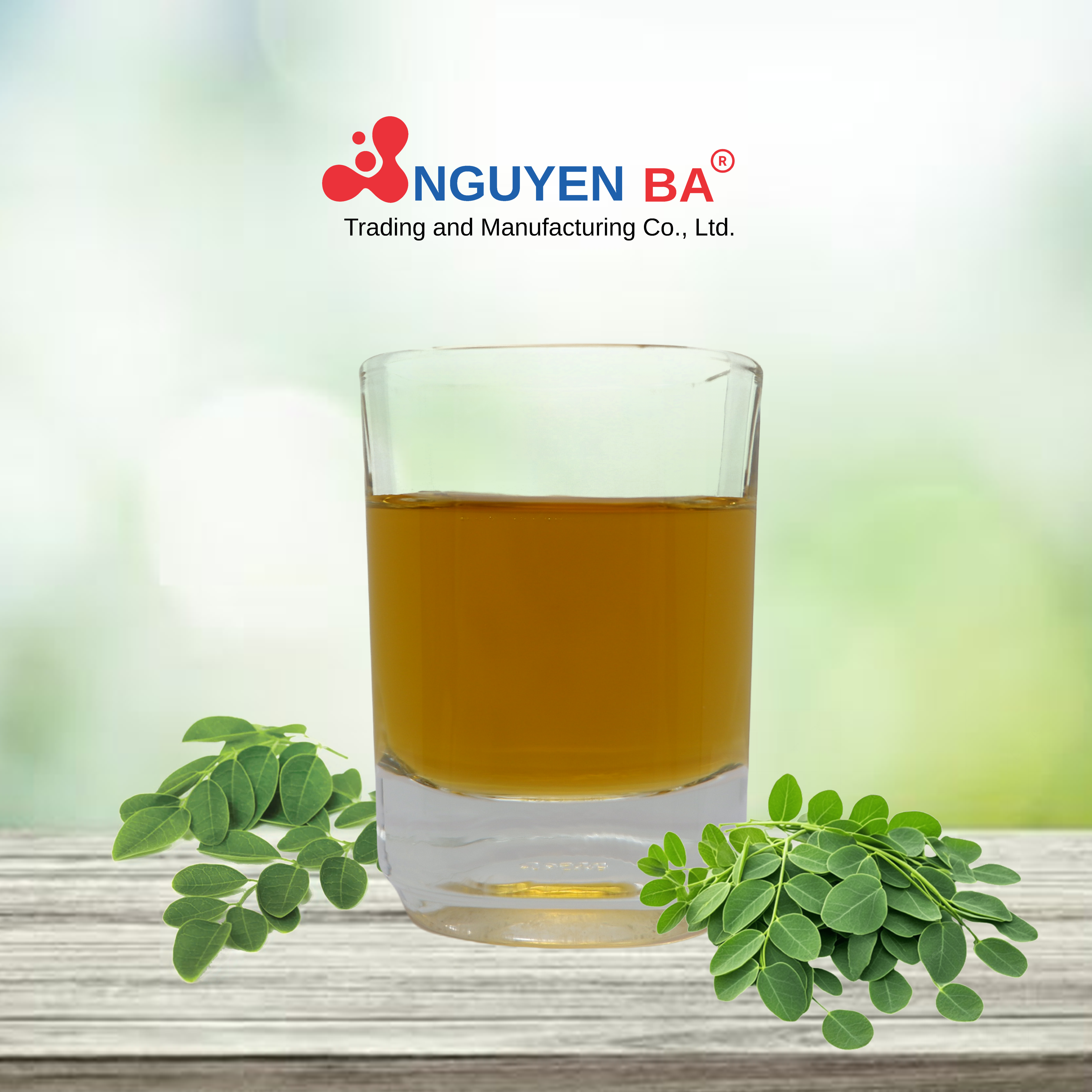 CHIẾT XUẤT LÁ CHÙM NGÂY - NexTracTM MORINGA L LC